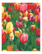 Cargar imagen en el visor de la galería, Tulipanes