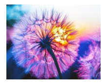 Cargar imagen en el visor de la galería, Diente de león diamante