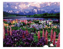 Cargar imagen en el visor de la galería, Campo con Flores Diamante