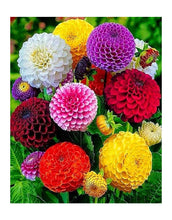 Cargar imagen en el visor de la galería, Flores Diamante