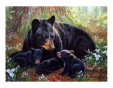 Cargar imagen en el visor de la galería, Osos